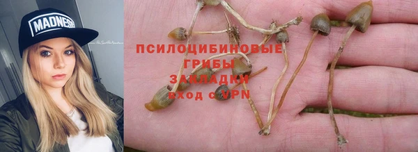 ALPHA-PVP Армянск