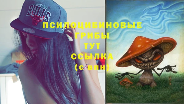 ALPHA-PVP Армянск