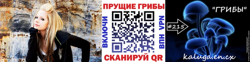 Галлюциногенные грибы Psilocybe  продажа наркотиков  Мантурово 